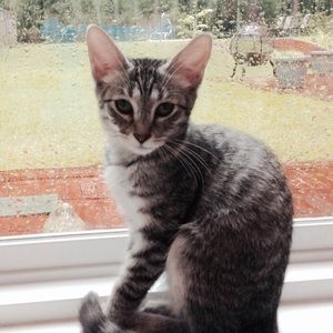 Meet your Posher, Reagan